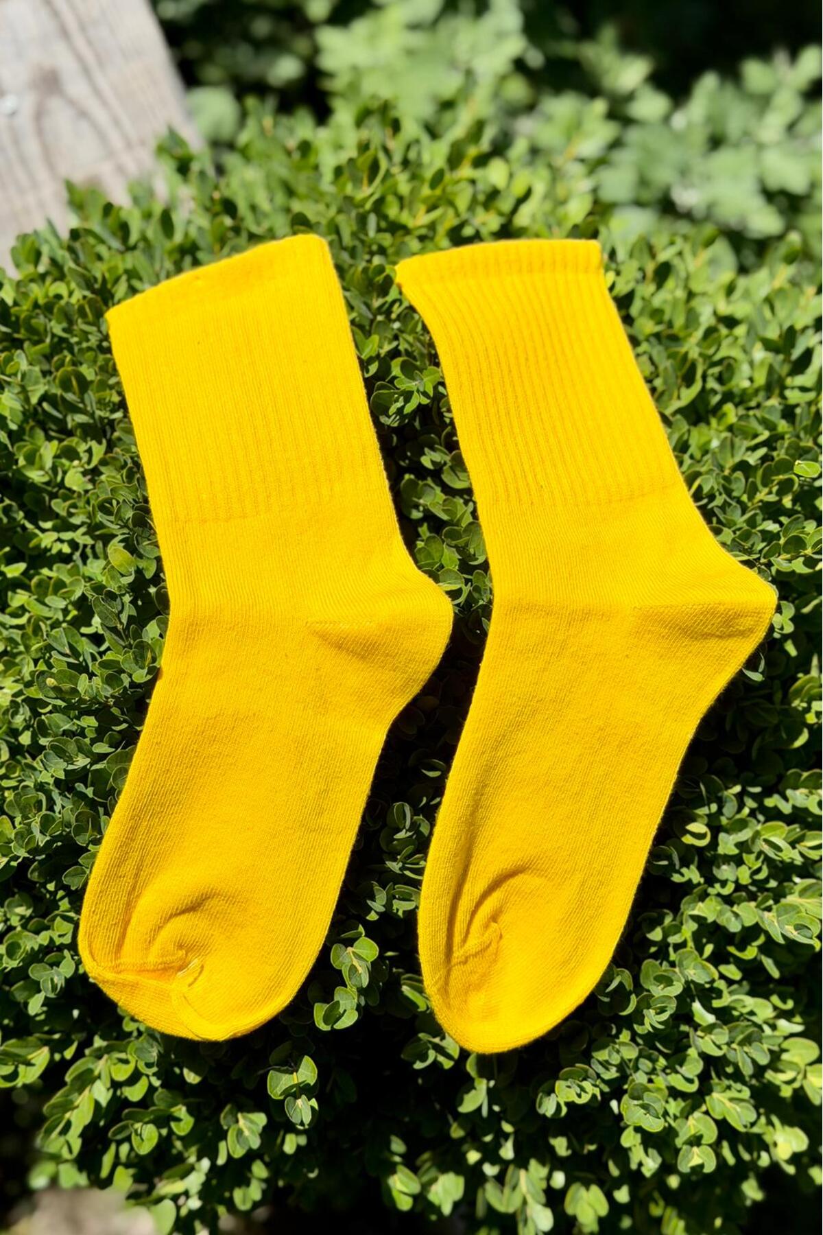 Unisex Sarı Düz Renk Tenis Spor Çorap