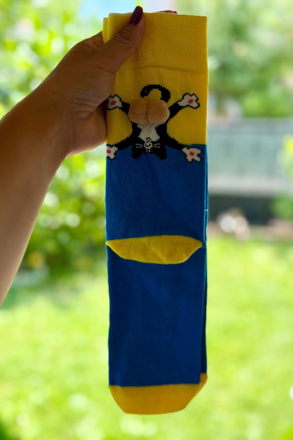 Unisex Sarı Mavi Renk Bloklu Kedi Desenli Ponpon Soket Çorap
