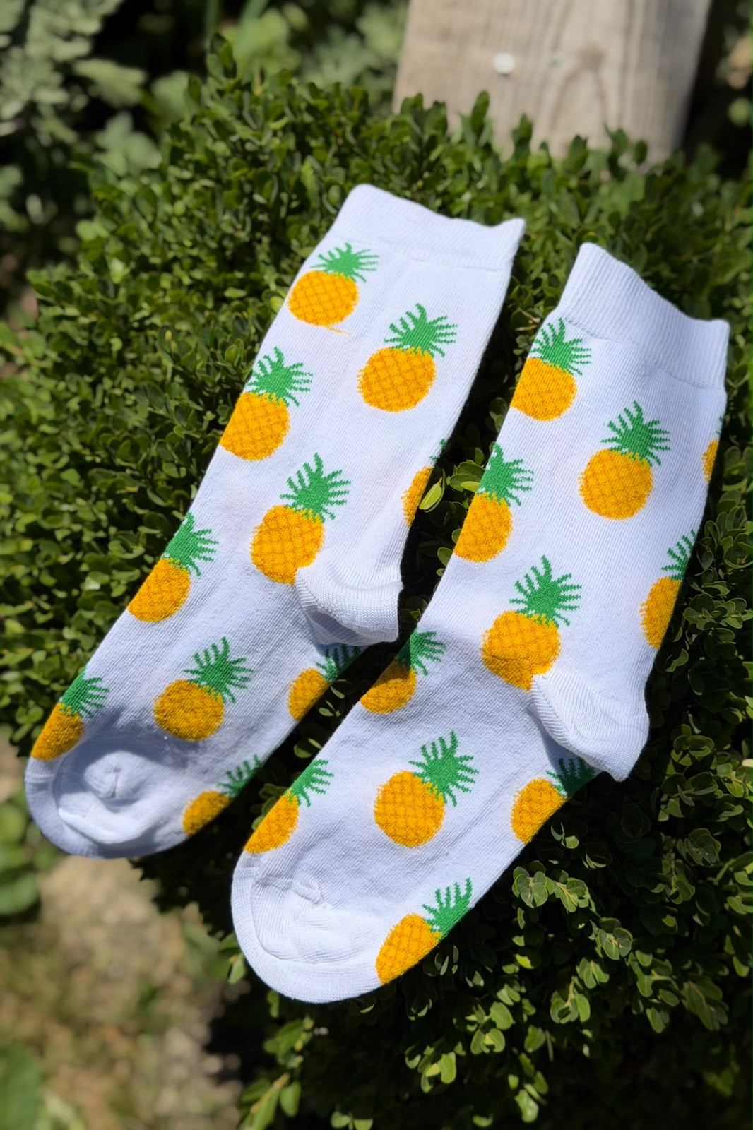 Ananas Desenli Beyaz Soket Çorap