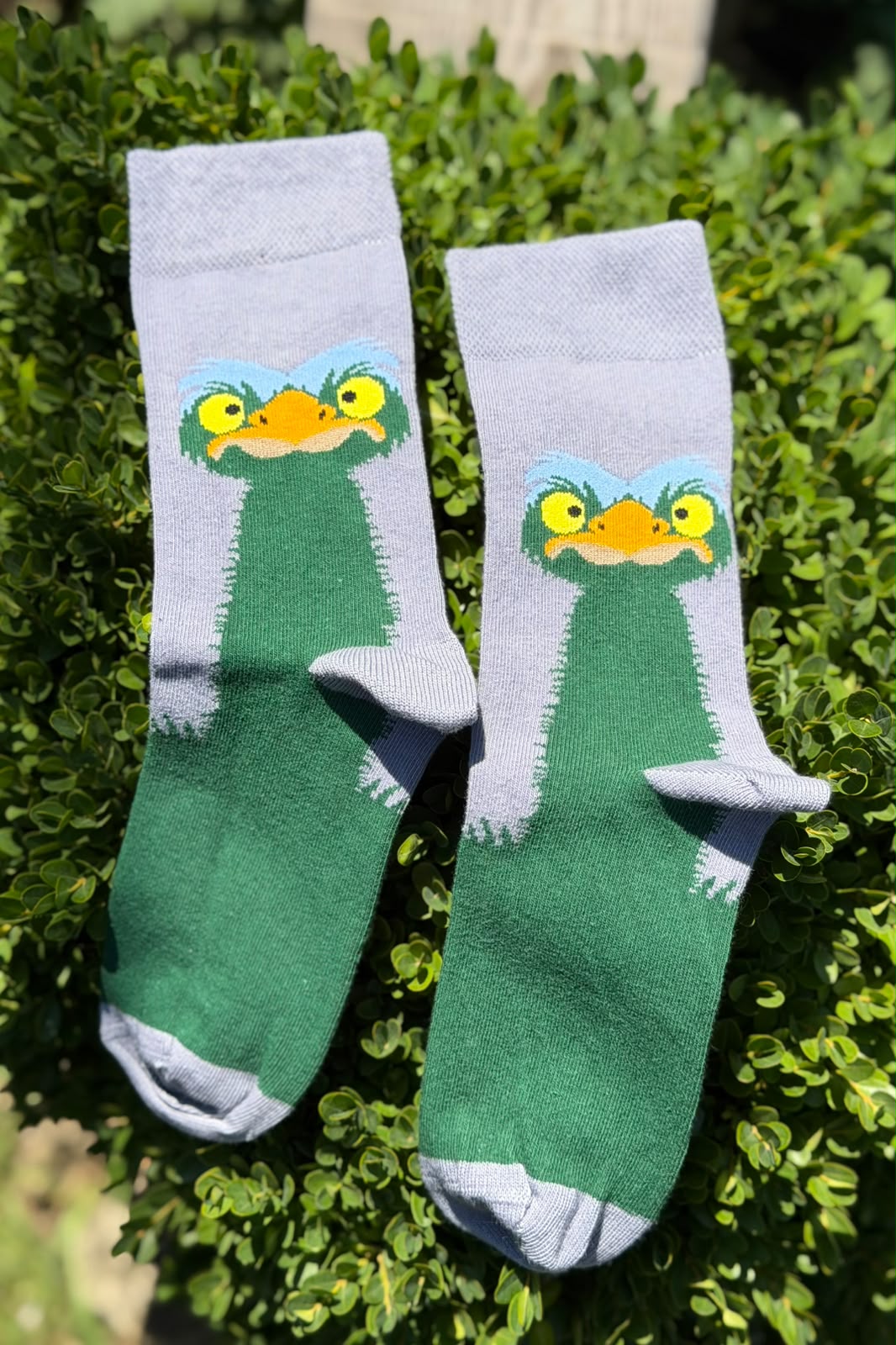 Deve Kuşu Desenli Tasarım Unisex Soket Çorap - görsel 1