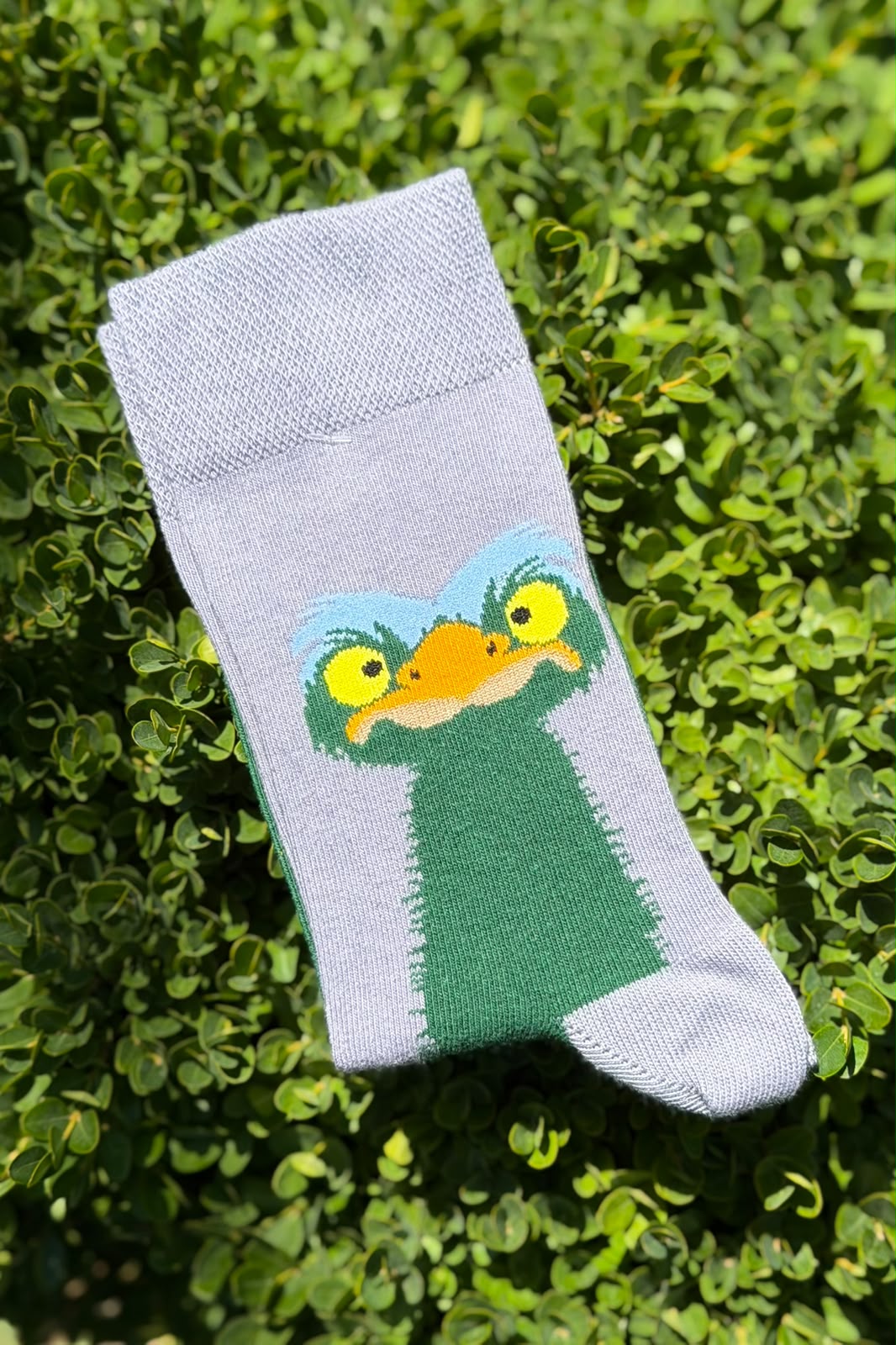 Deve Kuşu Desenli Tasarım Unisex Soket Çorap - görsel 4