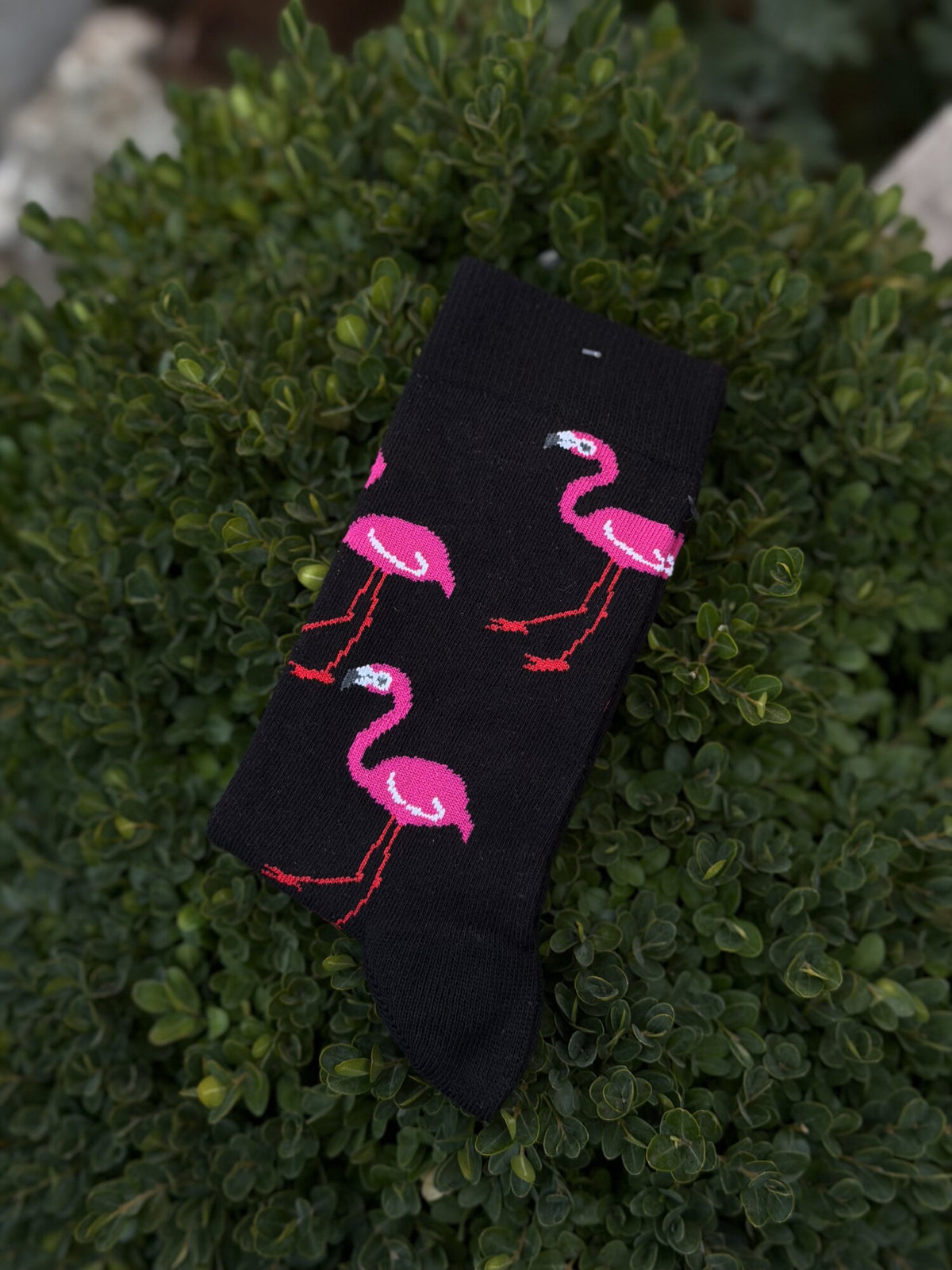 Unisex Flamingo Desenli Siyah Soket Çorap - görsel 1