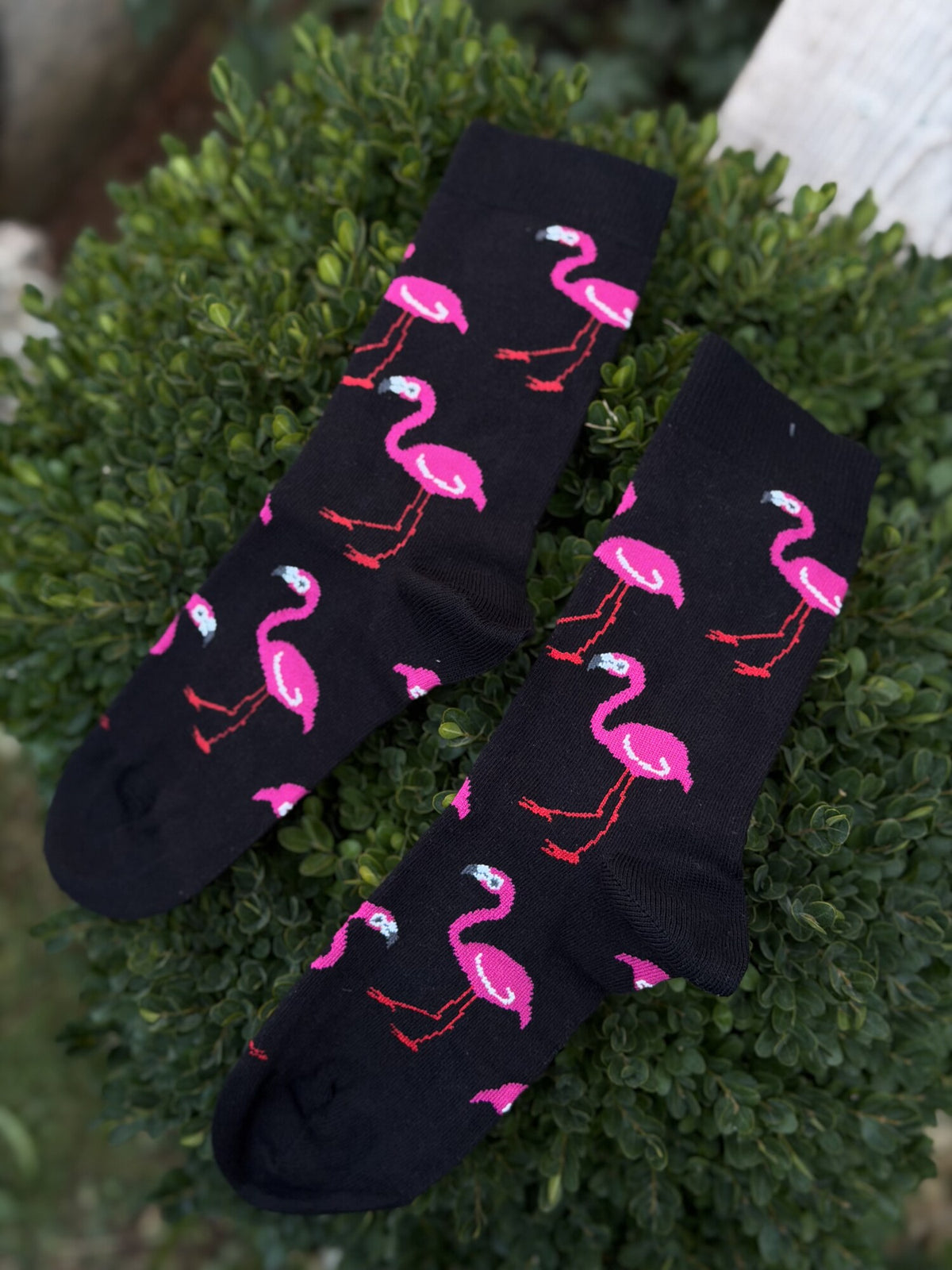 Unisex Flamingo Desenli Siyah Soket Çorap - görsel 2