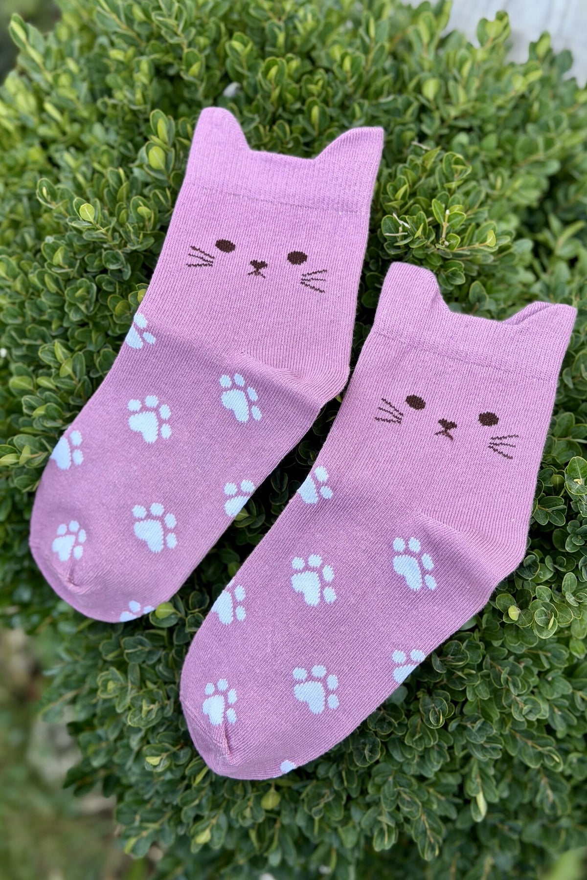 Unisex Kedi Kulaklı Pati Desenli Pembe Soket Çorap - görsel 2