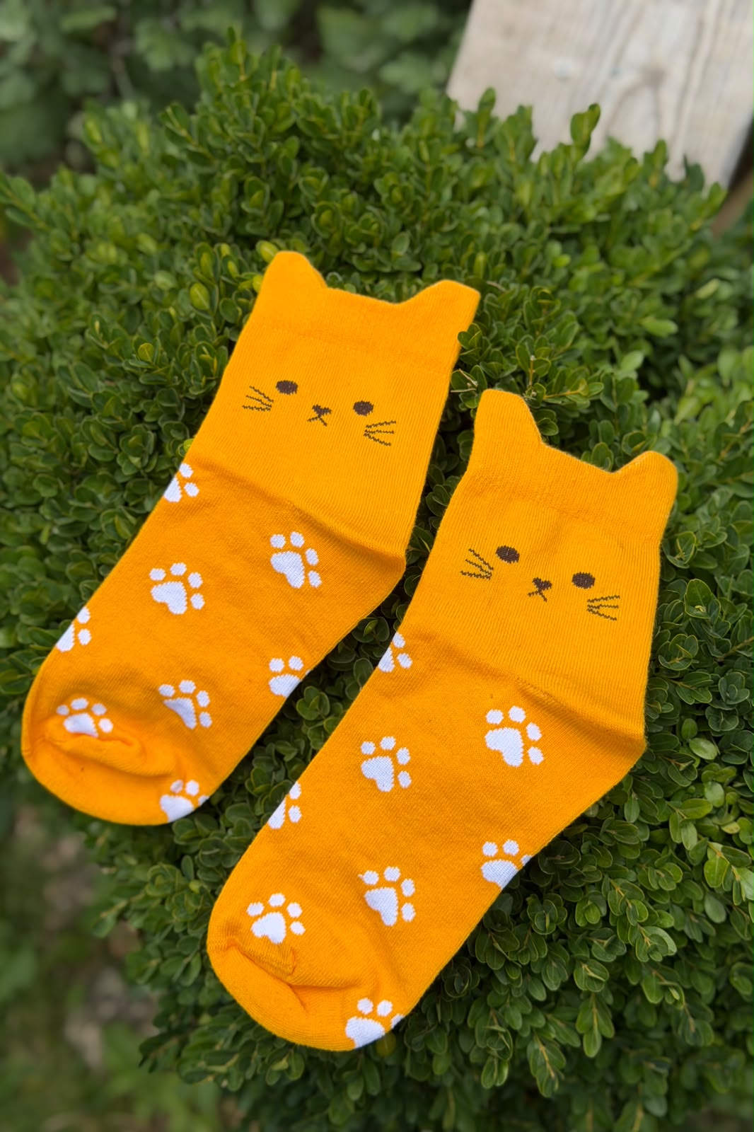 Unisex Kedi Kulaklı Pati Desenli Hardal Sarısı Soket Çorap - görsel 1