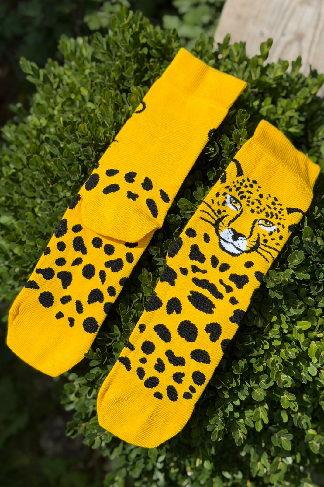 Unisex Leopar Desenli Hardal Sarısı Soket Çorap - görsel 2
