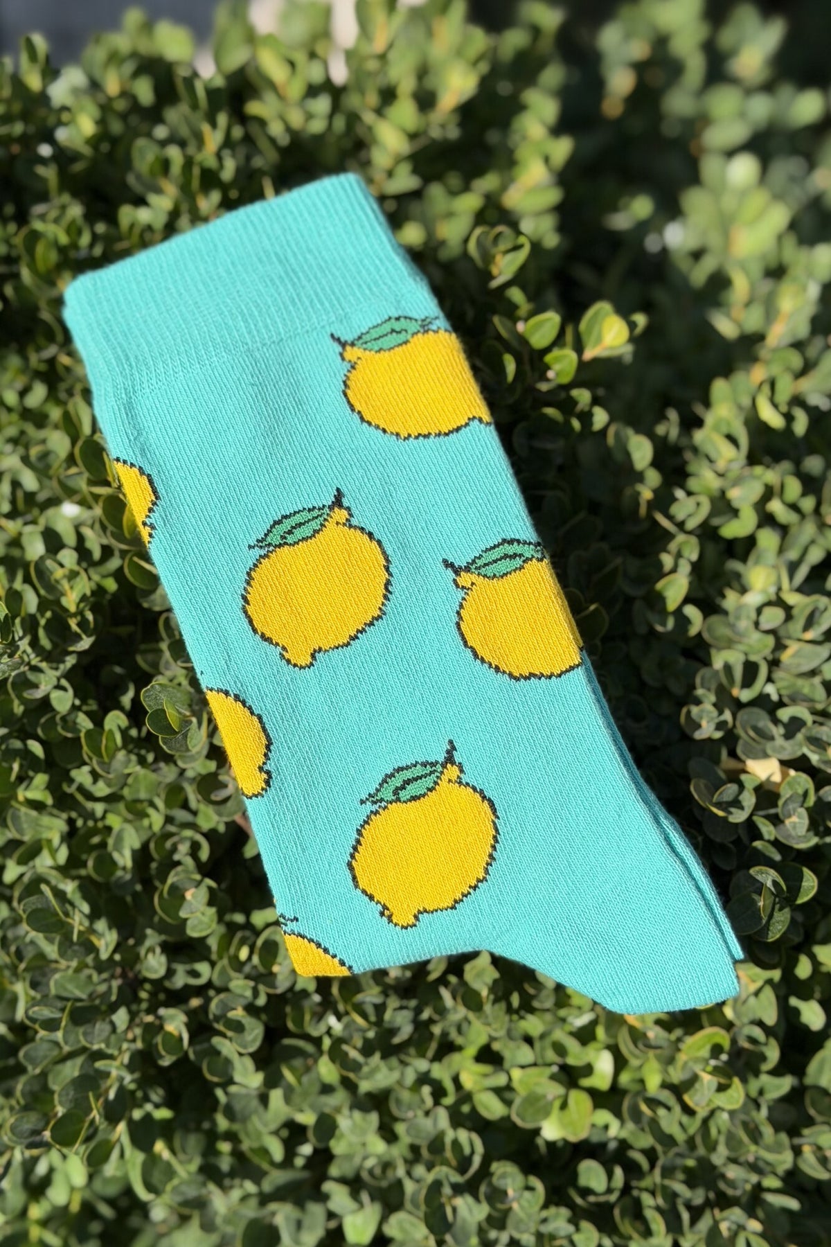 Unisex Limon Desenli Turkuaz Soket Çorap - görsel 1