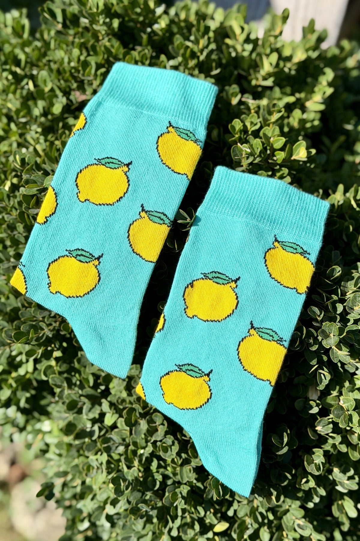 Unisex Limon Desenli Turkuaz Soket Çorap - görsel 2