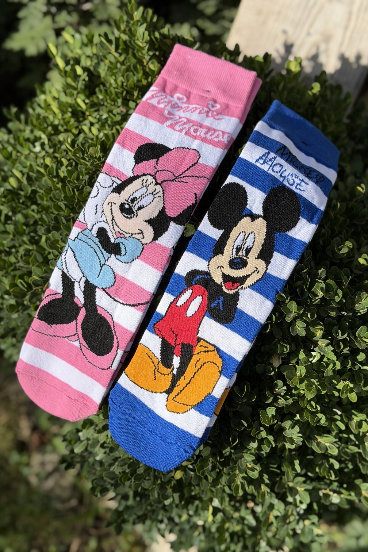 Unisex Mickey ve Minnie Çizgili 2'li Soket Çorap - görsel 1
