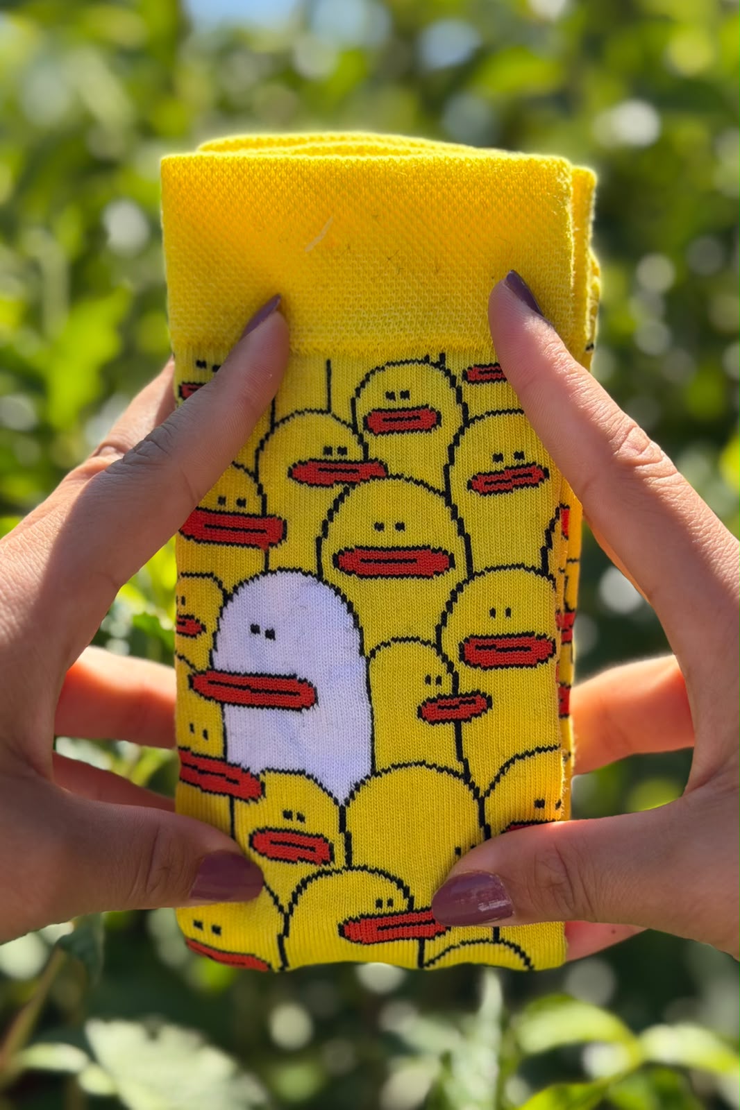 Sarı Ördek Desenli Renkli Soket Çorap - görsel 3