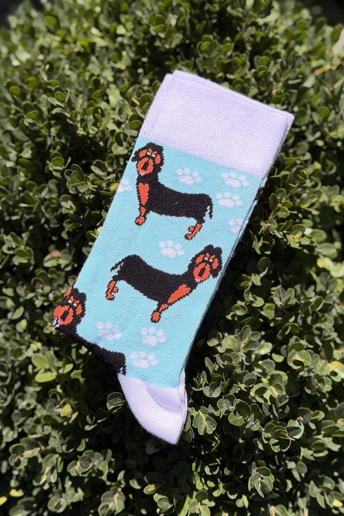 Unisex Sosis Köpek Desenli Turkuaz Soket Çorap - görsel 1