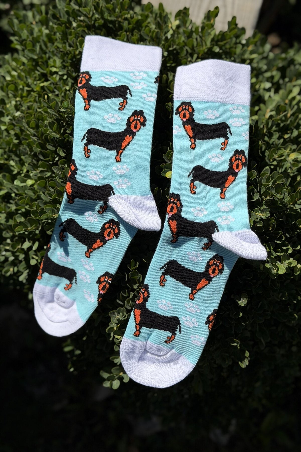 Unisex Sosis Köpek Desenli Turkuaz Soket Çorap - görsel 2