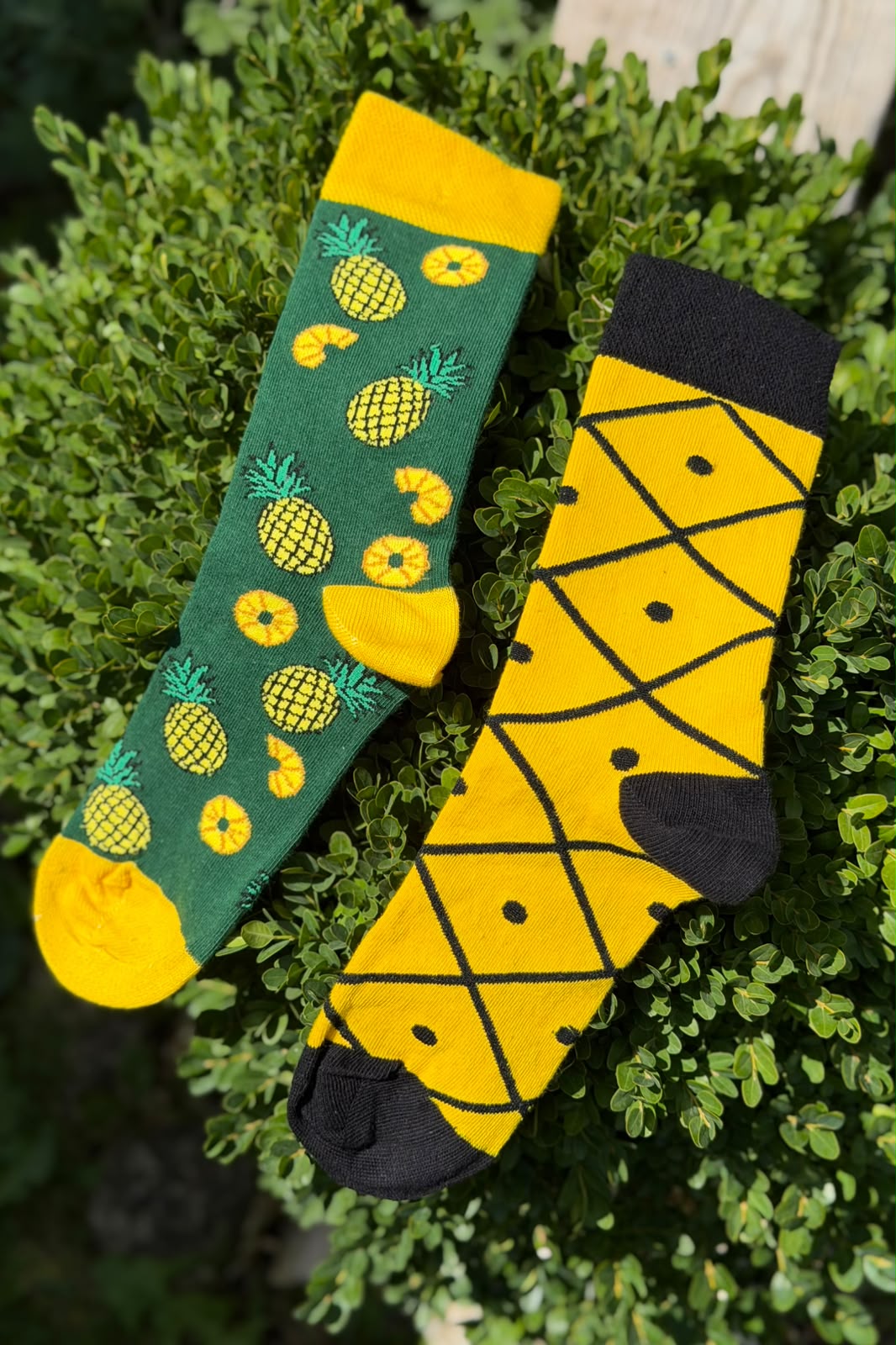 Unisex Sağlı Sollu Ananas Desenli Yeşil Soket Çorap - görsel 1