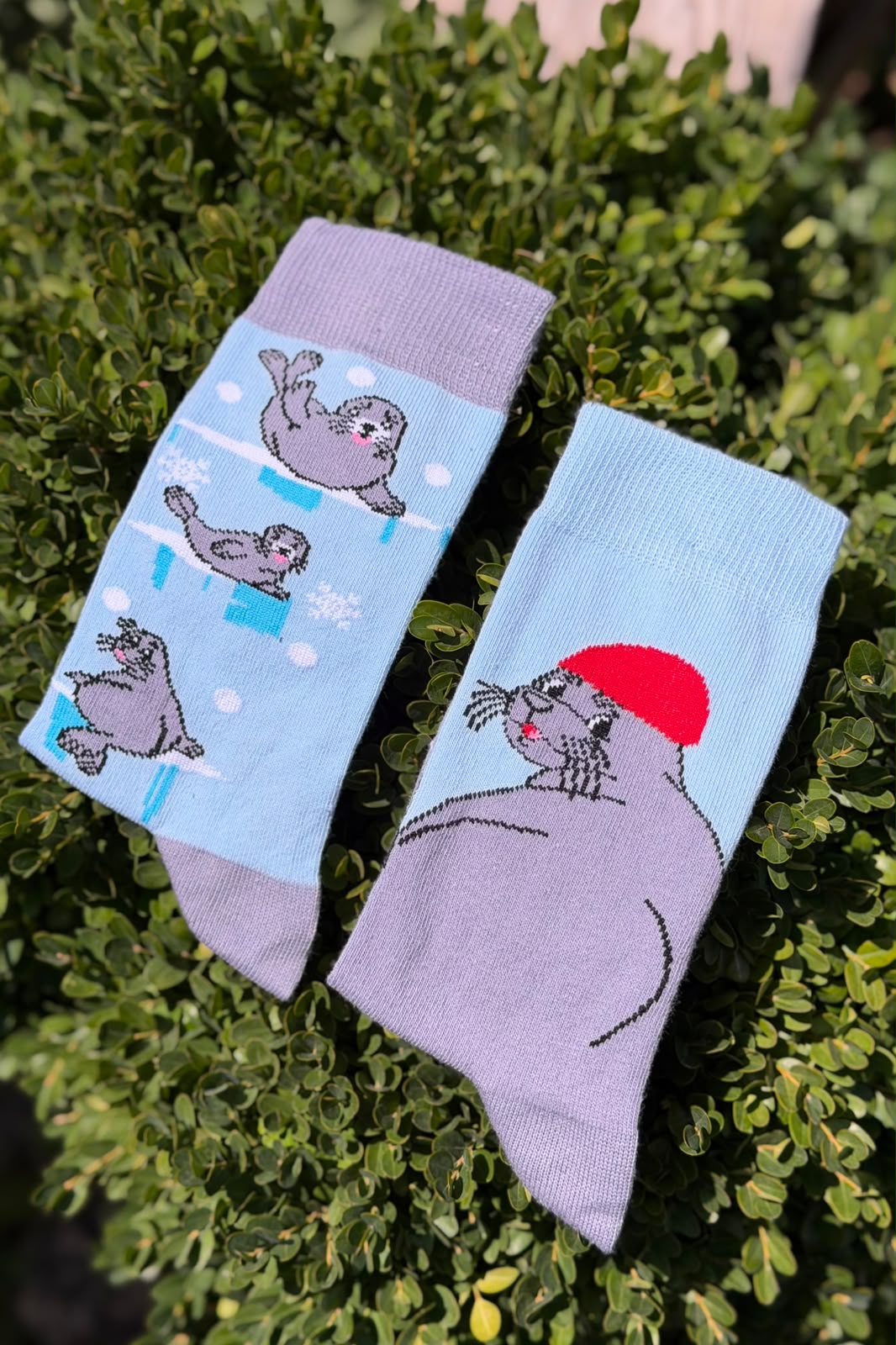 Unisex Sağlı Sollu Fok Balığı Desenli Mavi Soket Çorap - görsel 1