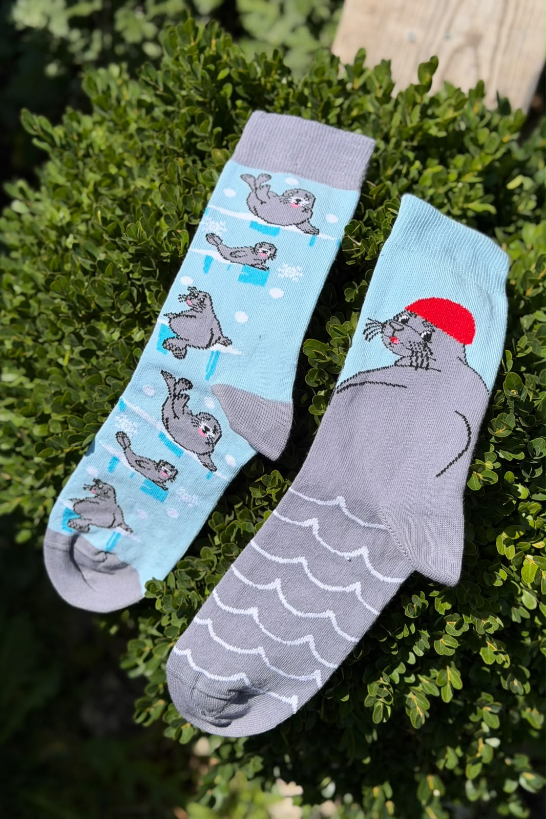 Unisex Sağlı Sollu Fok Balığı Desenli Mavi Soket Çorap - görsel 2
