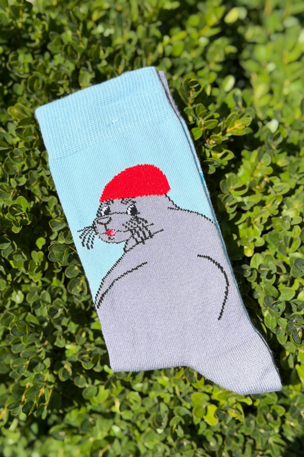 Unisex Sağlı Sollu Fok Balığı Desenli Mavi Soket Çorap - görsel 3