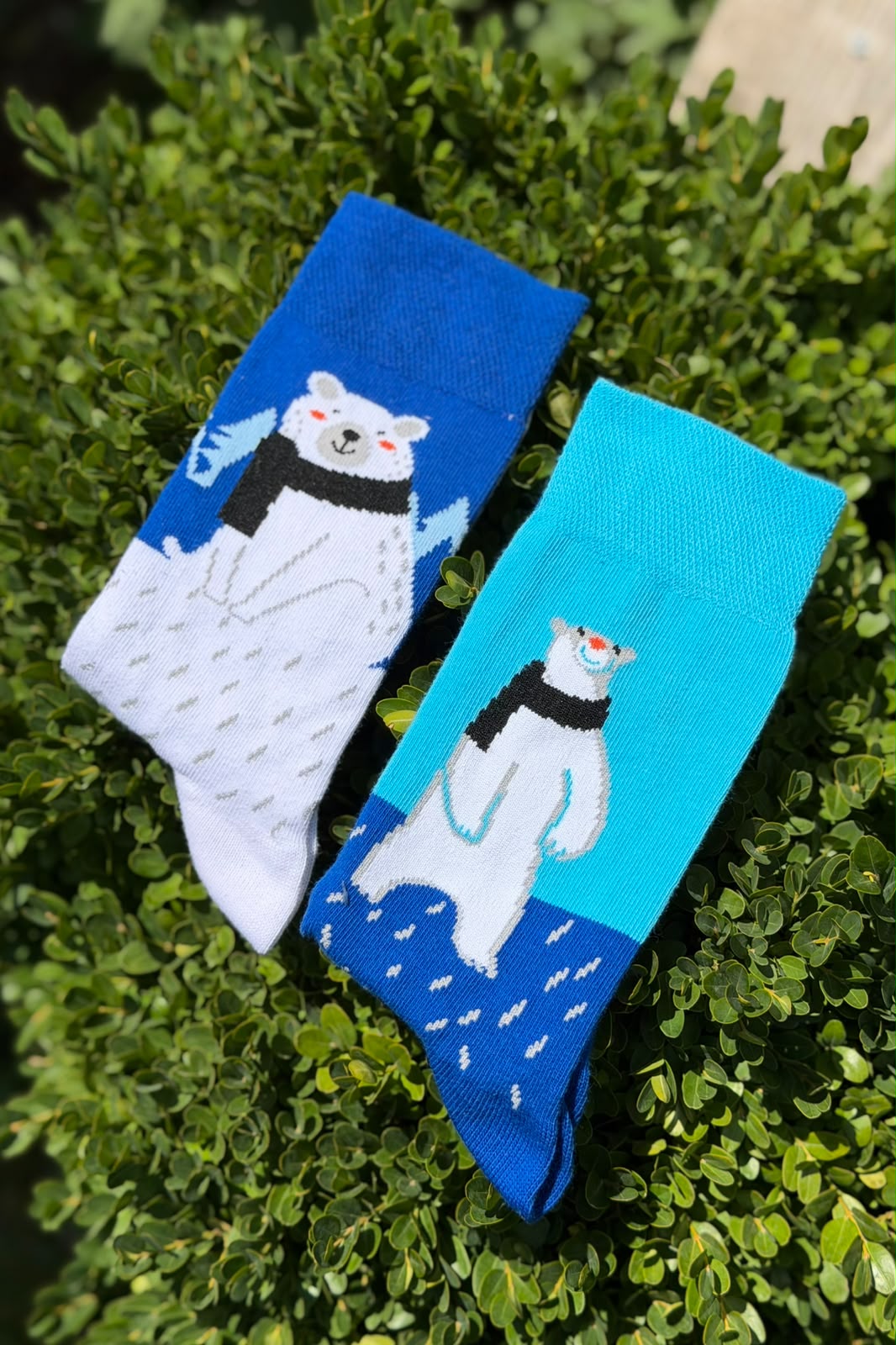 Unisex Sağlı Sollu Kutup Ayısı Desenli Mavi Soket Çorap - görsel 1