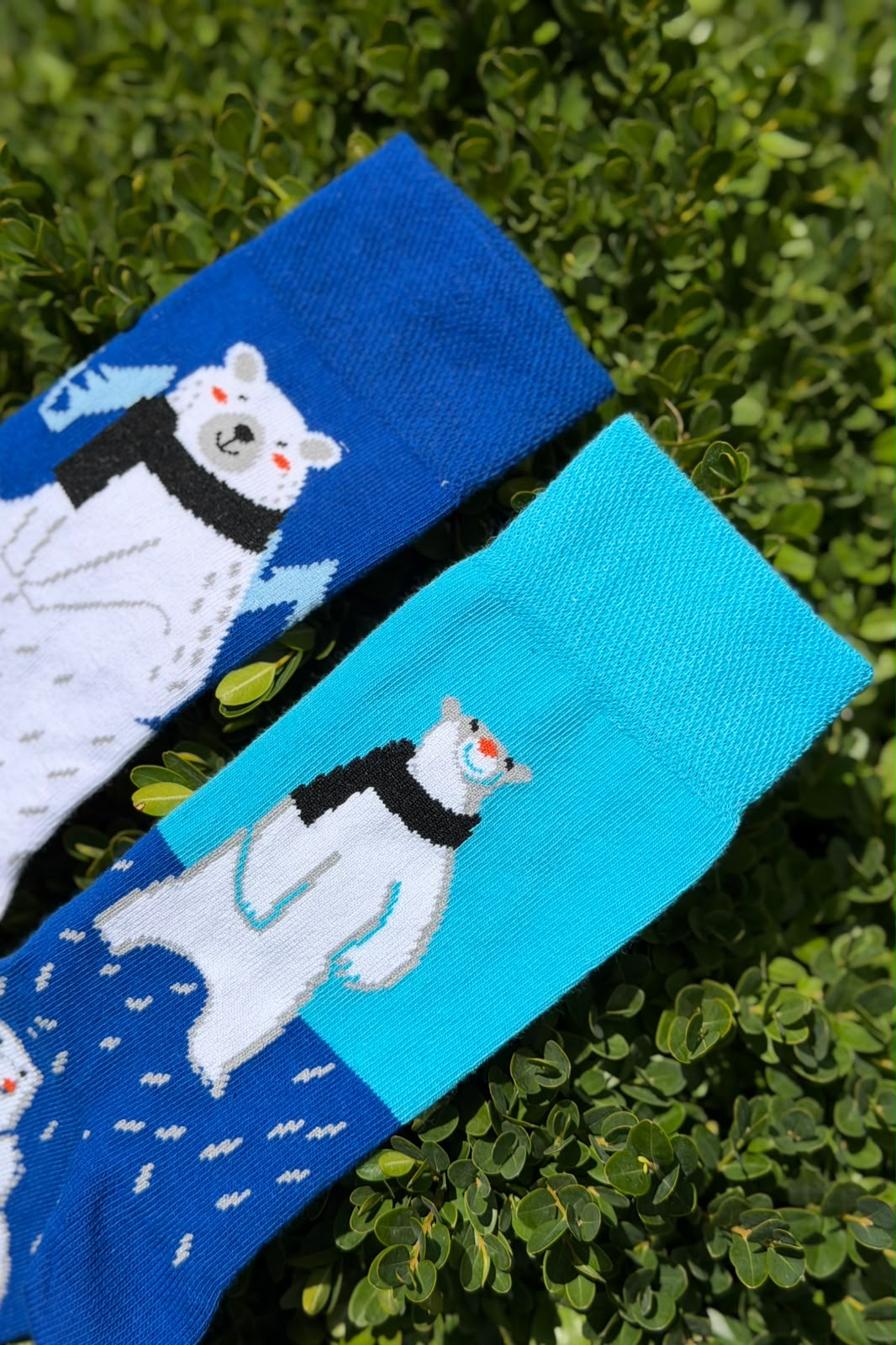 Unisex Sağlı Sollu Kutup Ayısı Desenli Mavi Soket Çorap - görsel 2