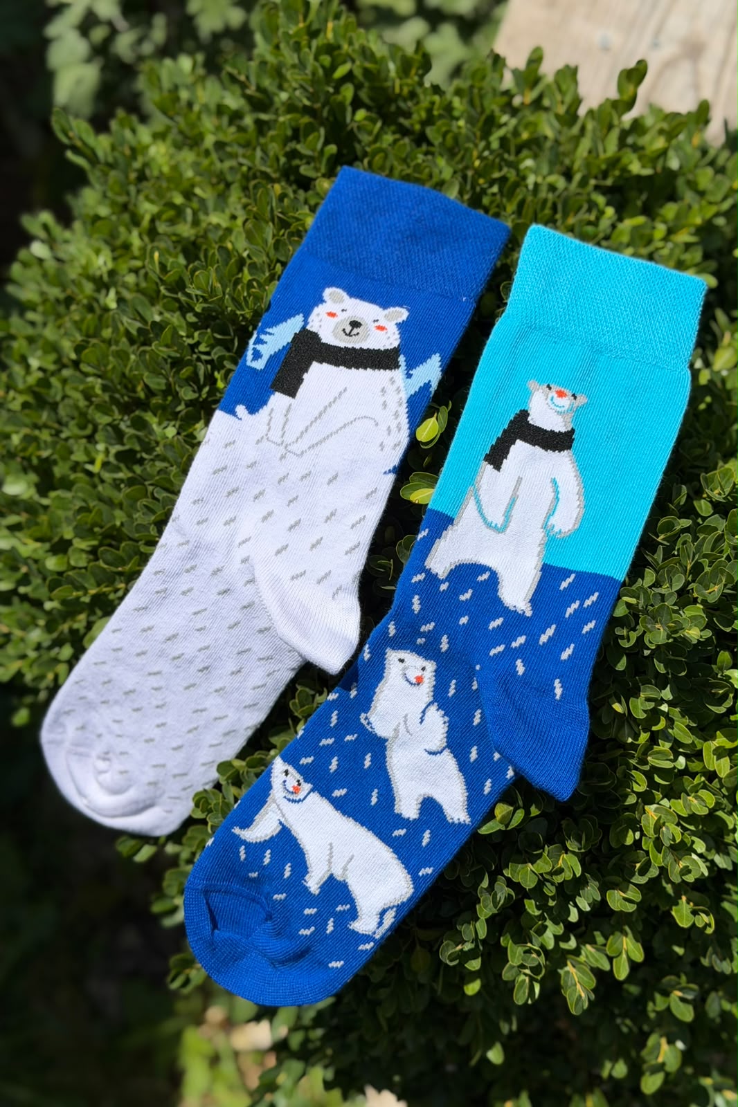 Unisex Sağlı Sollu Kutup Ayısı Desenli Mavi Soket Çorap - görsel 3