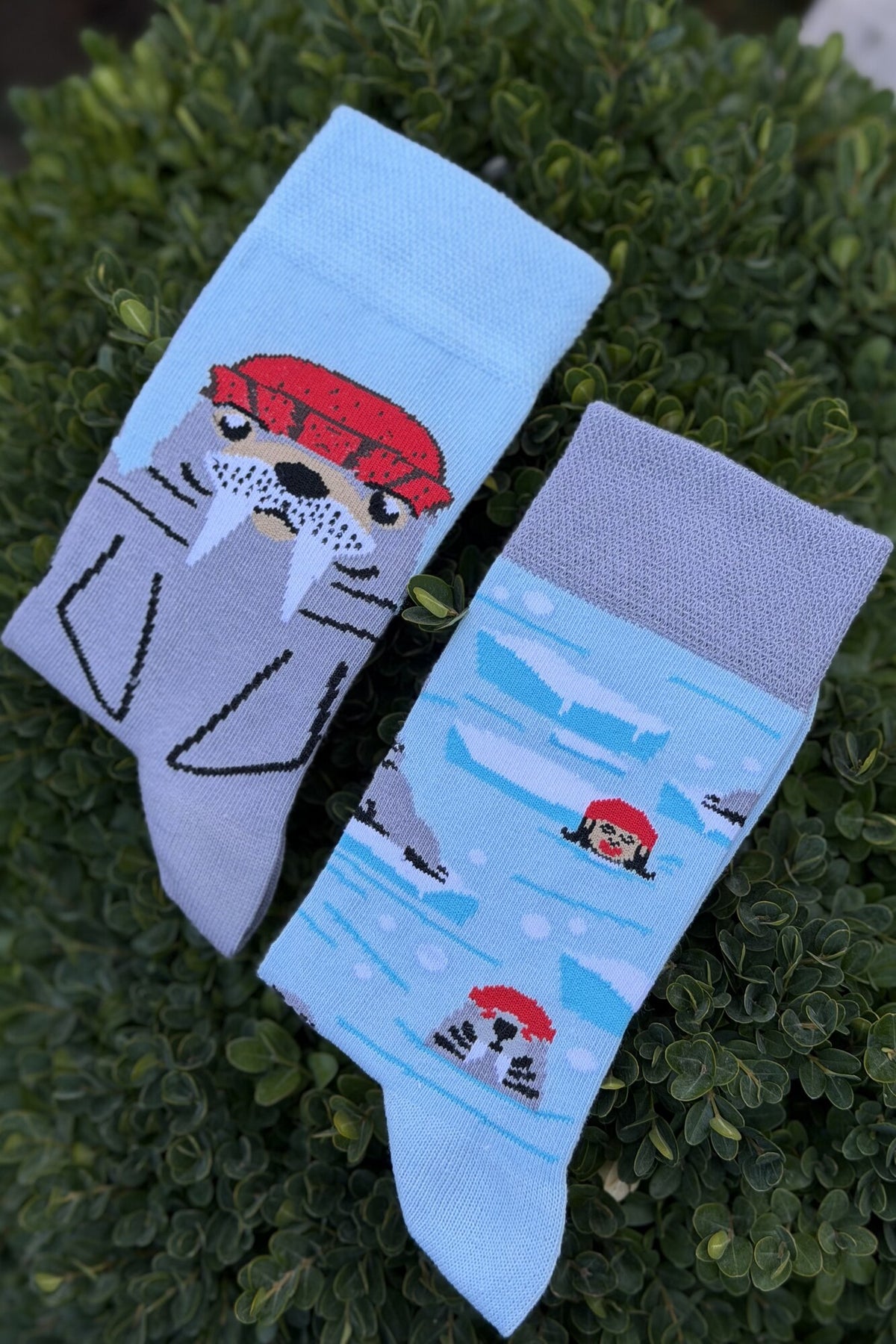 Unisex Sağlı Sollu Mors Desenli Buz Mavisi Soket Çorap - görsel 4