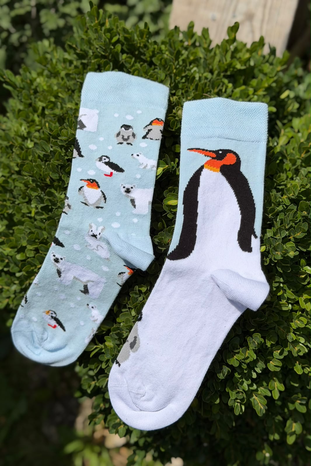 Unisex Sağlı Sollu Penguen Desenli Mavi Soket Çorap - görsel 1