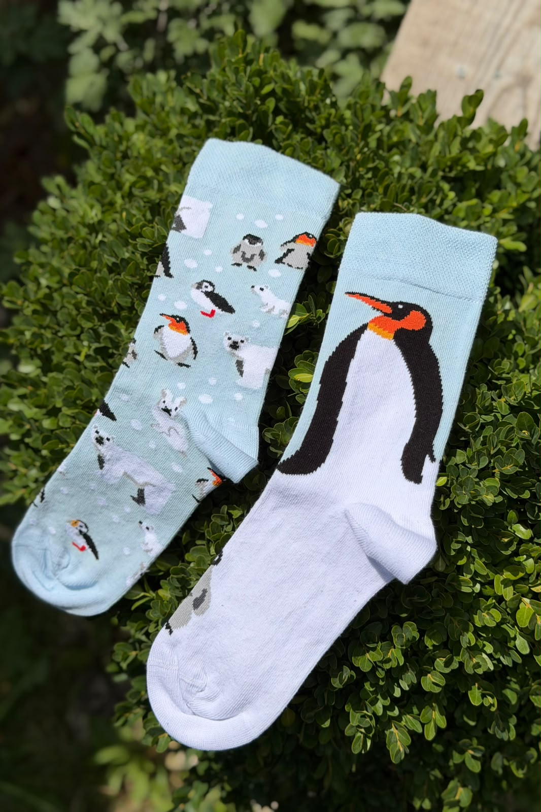 Unisex Sağlı Sollu Penguen Desenli Mavi Soket Çorap - görsel 2
