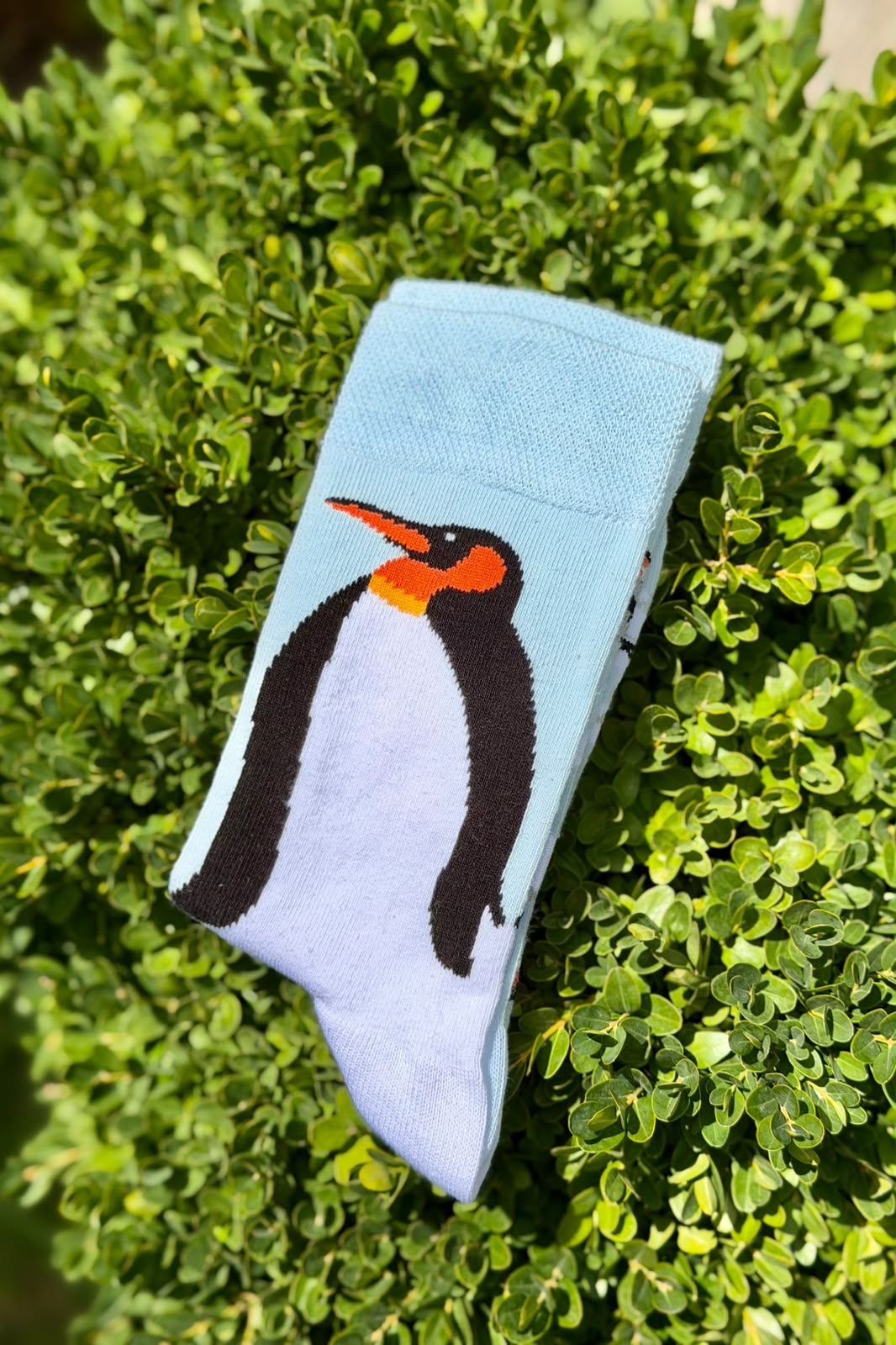 Unisex Sağlı Sollu Penguen Desenli Mavi Soket Çorap - görsel 3