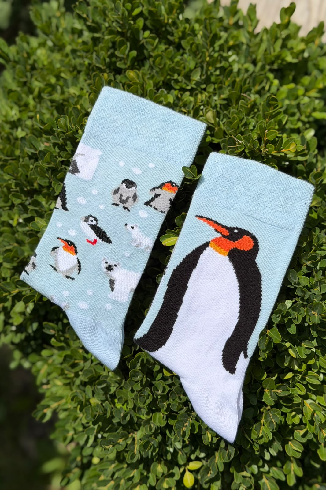 Unisex Sağlı Sollu Penguen Desenli Mavi Soket Çorap - görsel 4